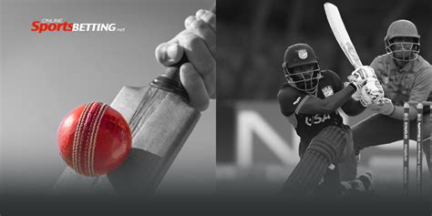 top cricket betting apps|Best Cricket Betting Apps & Mobile Sportsbooks.